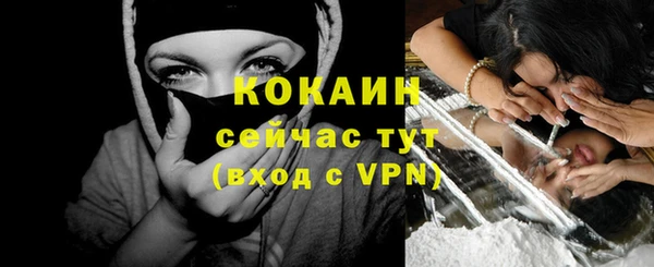 сатива Абинск