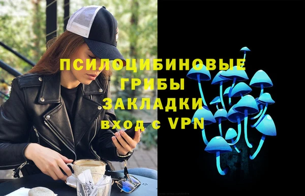 сатива Абинск