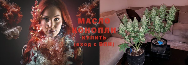 сатива Абинск