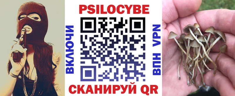 Галлюциногенные грибы GOLDEN TEACHER Чкаловск